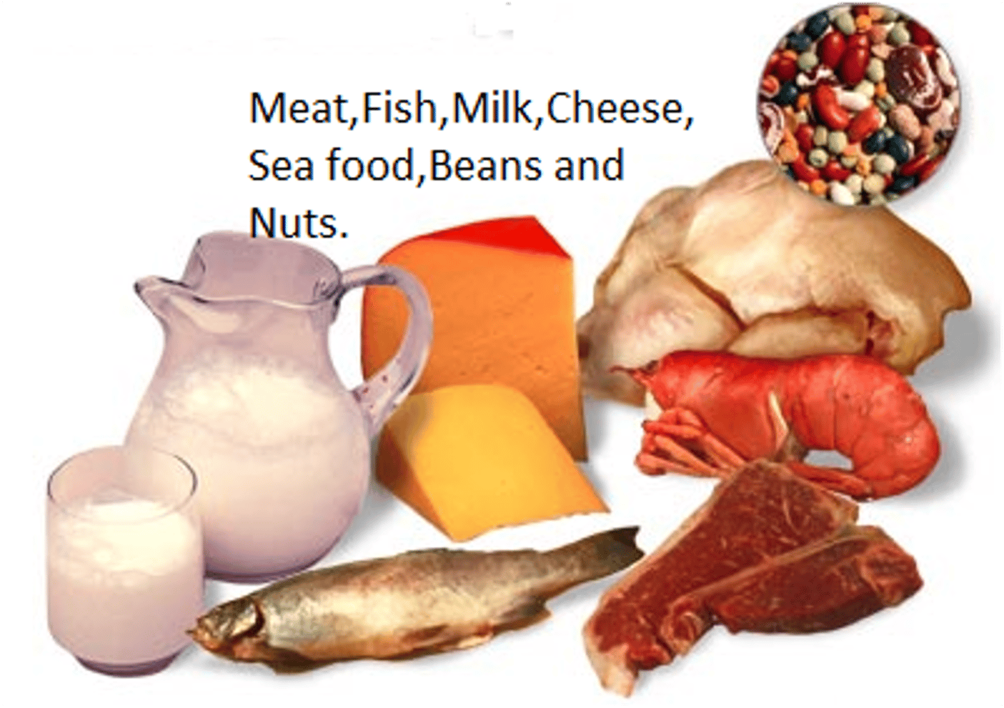 <p>Protein can be found in meats, eggs, nuts, fish, beans, and milk.</p>