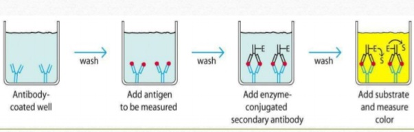 <p>Identify the test & usage </p>