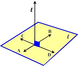 <p>A line that intersects a plane at a right angle.</p>