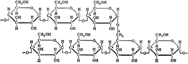 <p>polysaccharides</p>