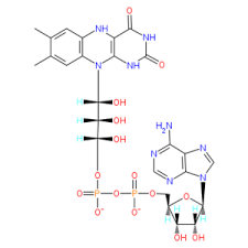 <ul><li><p><strong>ATP</strong>: Adenine base, ribose sugar, <strong>three phosphate groups</strong> (high-energy bonds).</p></li><li><p><strong>NADH &amp; NADPH</strong>: <strong>Nicotinamide ring</strong> accepts electrons as <strong>hydride ions (H:⁻)</strong>.</p></li><li><p><strong>FADH₂</strong>: <strong>Flavin ring</strong> accepts two hydrogen atoms.</p></li></ul><p></p>