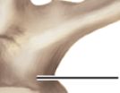 <p>Label</p>