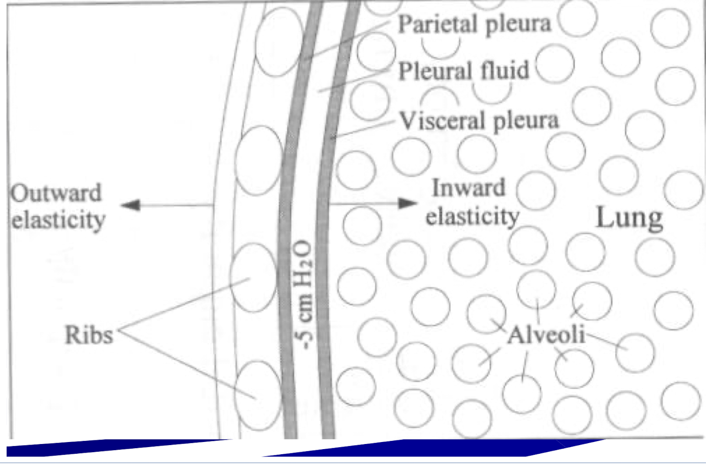 <p>Describe how pressure is related to this image</p>