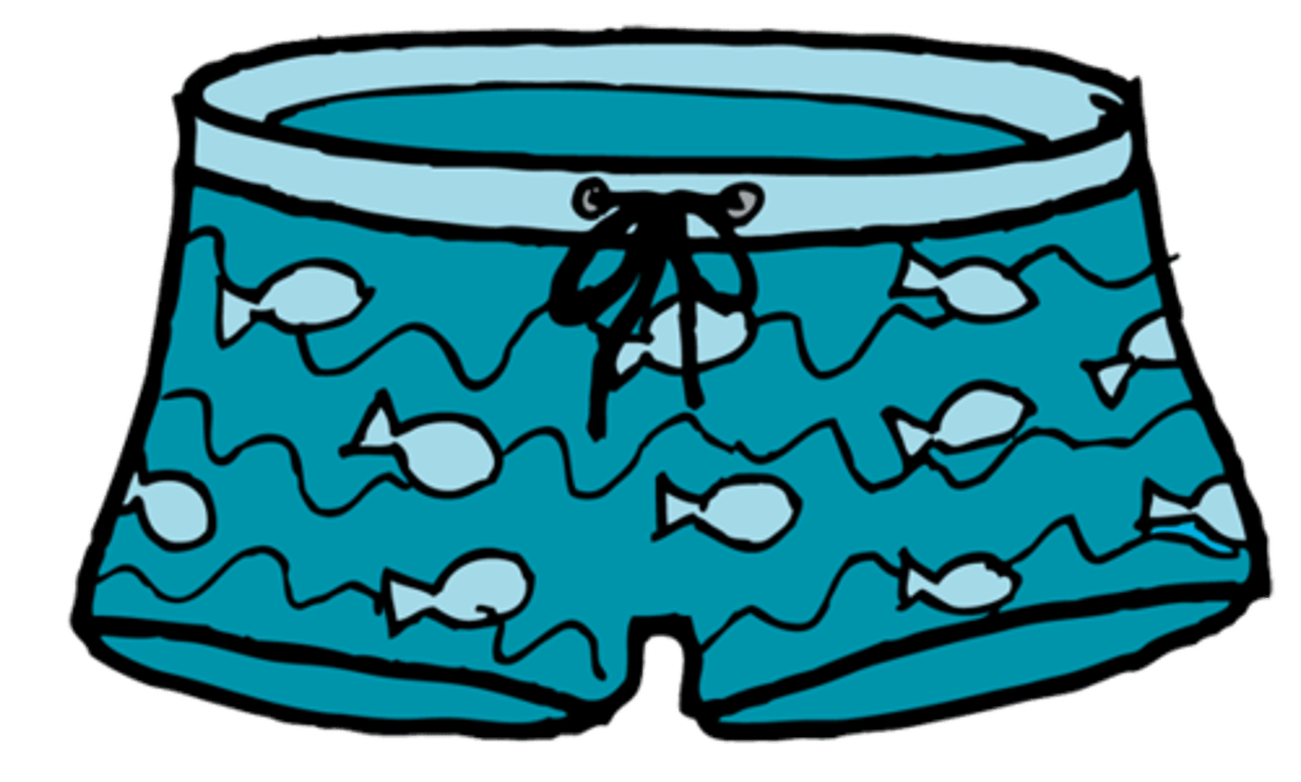 <p>swimming trunks</p>