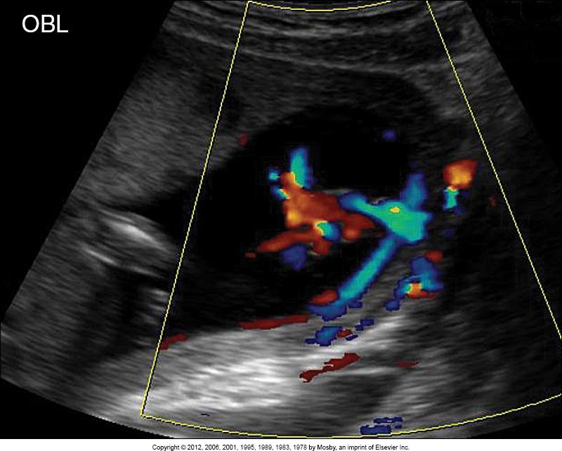 <p>What does this image show?</p>