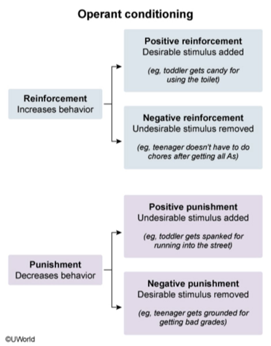 <p>ex. teenager gets grounded for getting bad grades </p><p><strong>negative punishment (desirable stimulus removed)</strong></p>