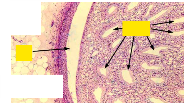<p>Fill in the labels from left to right?</p>