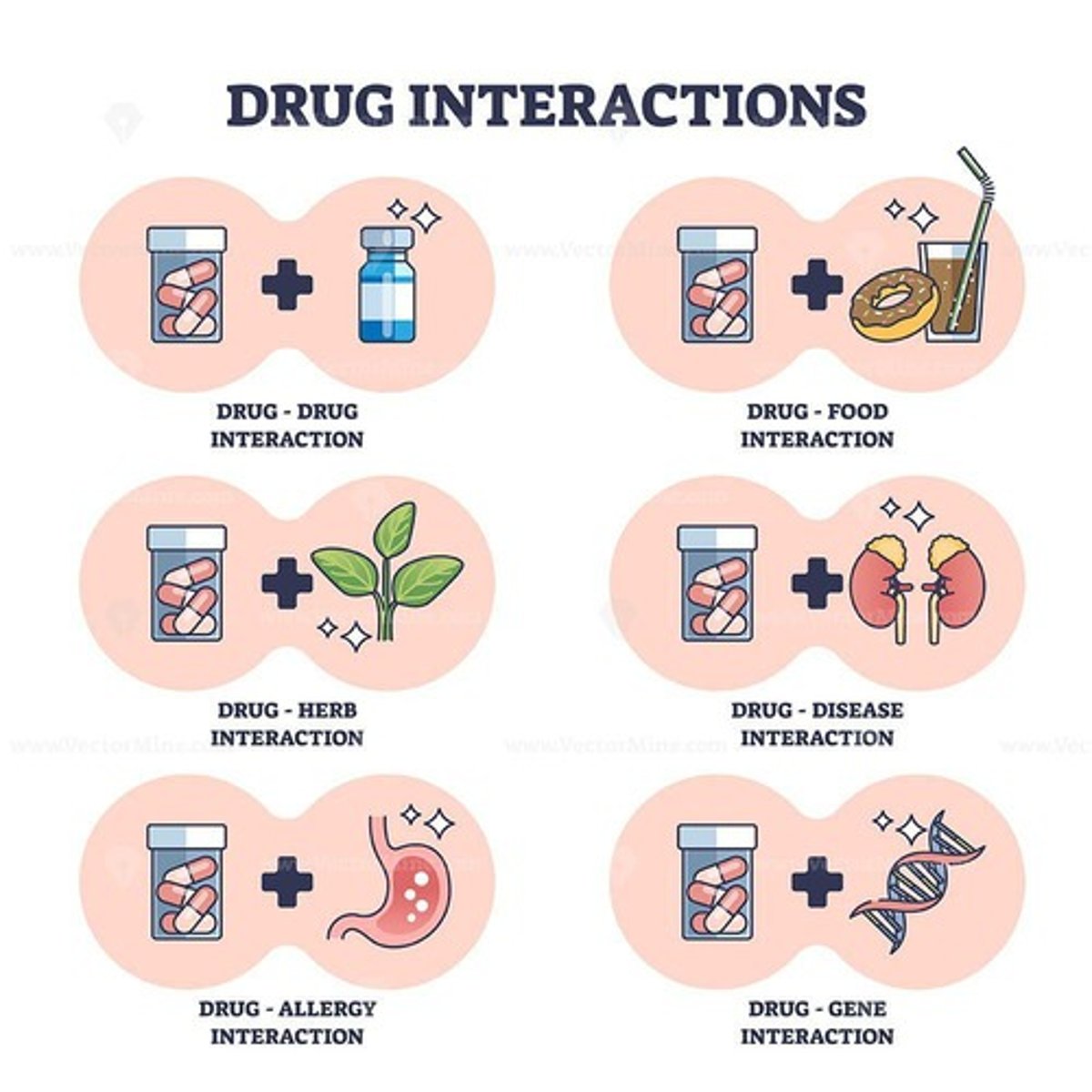 <p>Potentiation: Drugs in the same class amplify effects; Example: Alcohol + benzodiazepines = stronger than sum of parts; Can be lethal</p>