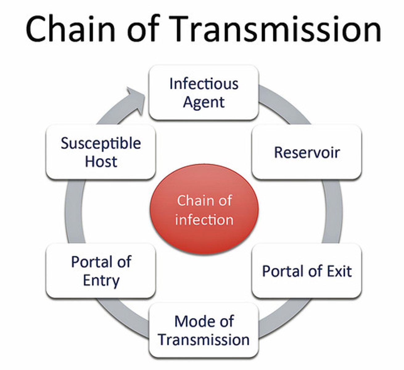 <p>The epidemiological triangle is expanded to help disease researchers understand the cycle of transmission.</p>