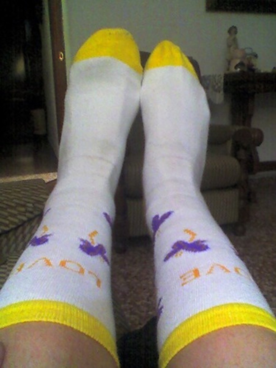 <p>socks</p>