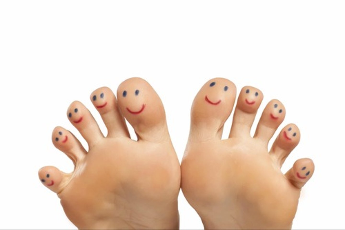 <p>toe</p>