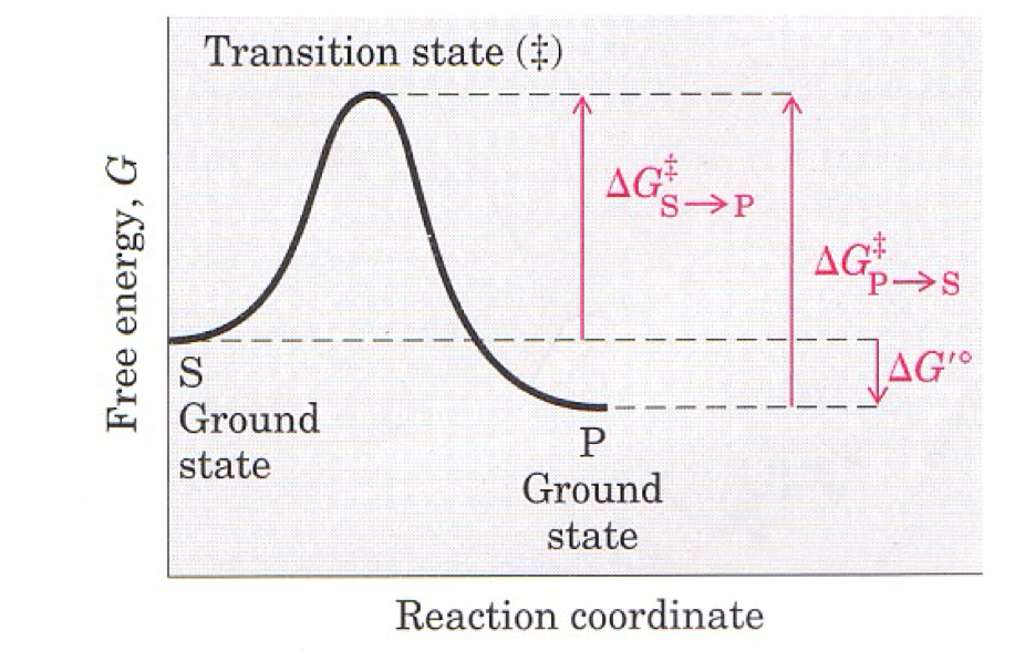 <p>What characteristics does this graph show </p>