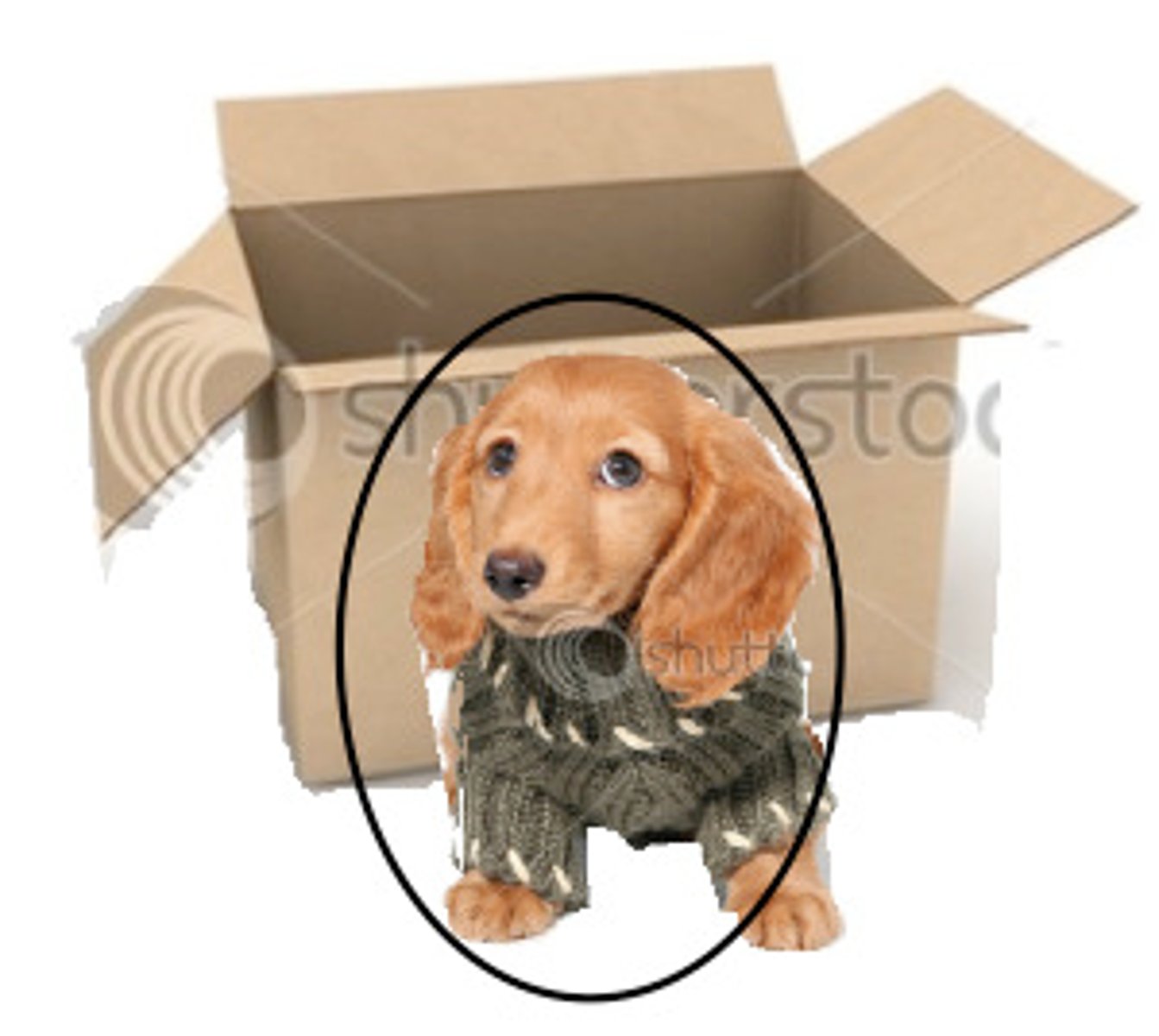 <p>vor (örtlich)</p>