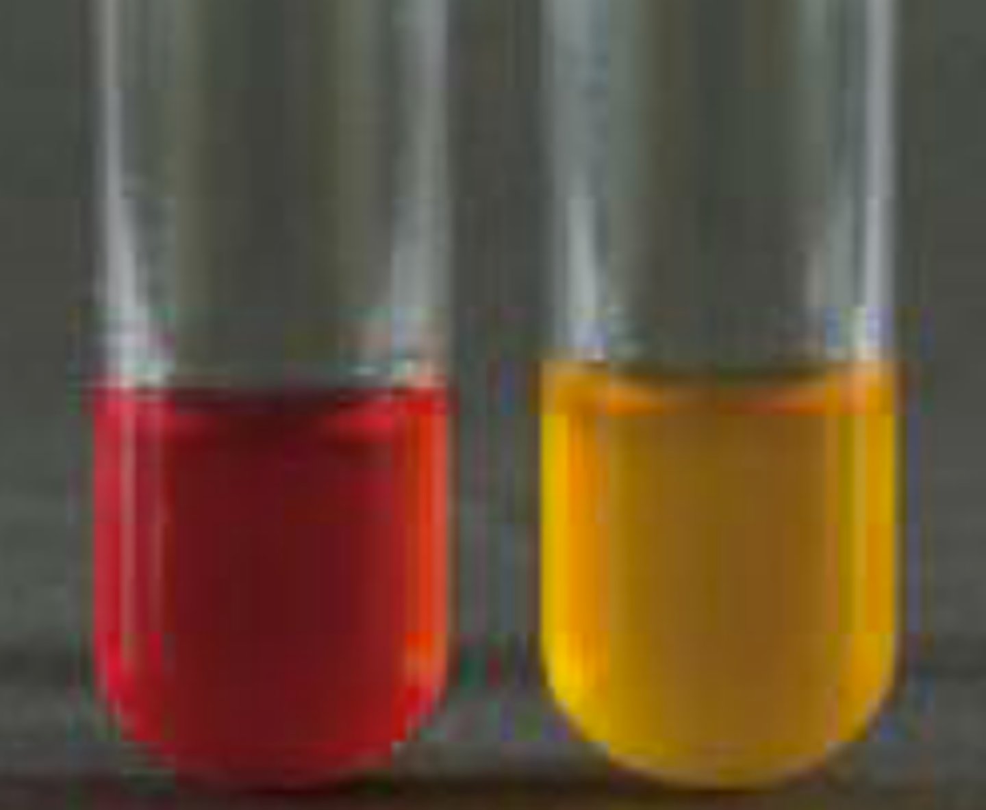 <p>which test is displayed in the picture?</p>