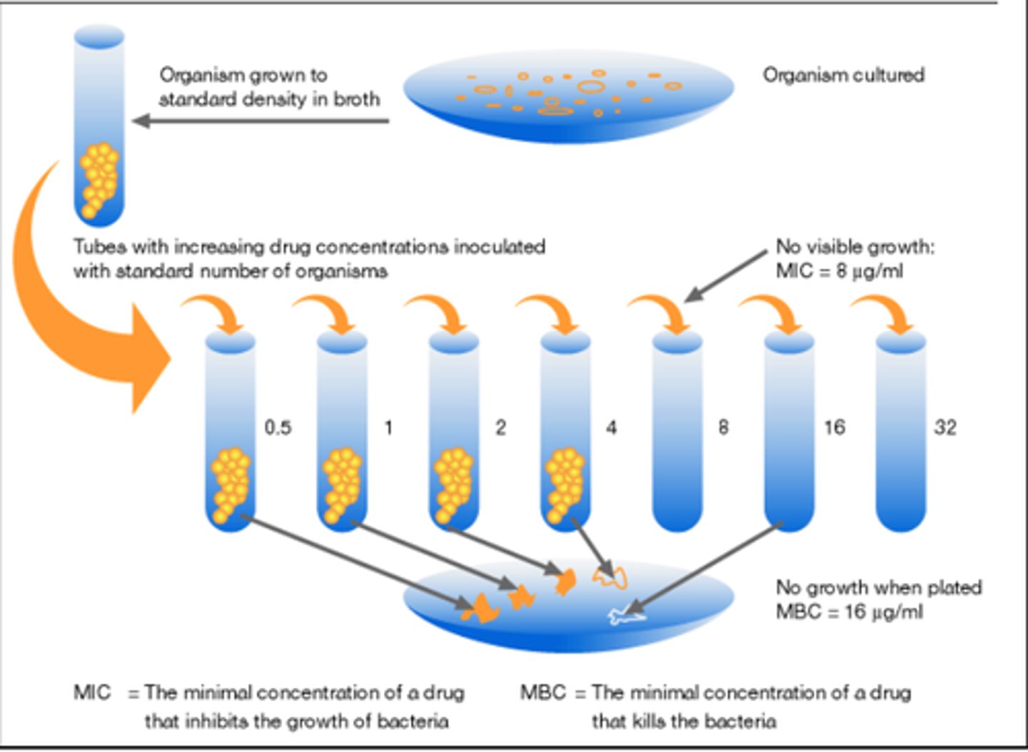 <p>Antibiotic dilution test and agar growth test</p>