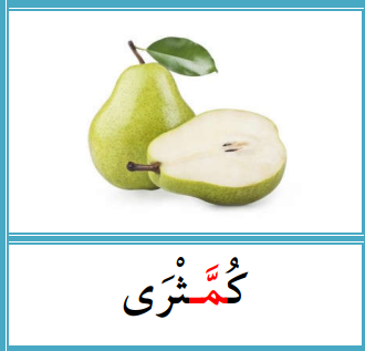 knowt flashcard image