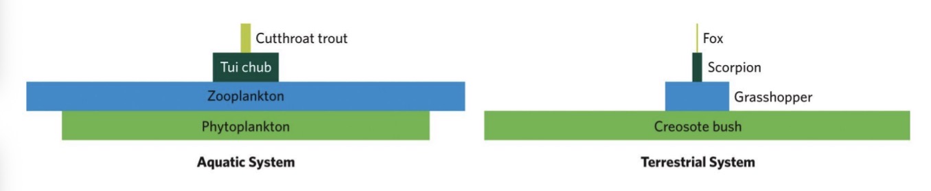 <ul><li><p>Aquatic trophic pyramids, for example, often display a lower biomass of phytoplankton (primary producers) than zooplankton (primary consumers) at any given point in time.</p></li><li><p>However, phytoplankton have such short lifespans and fast reproduction rates that their biomass still adds up to well more than the biomass of primary consumers when viewed over the entirety of the primary consumer’s generation time</p></li><li><p>It’s like saying “im going to give you a batch of cookies” and you would think “well this batch is not enough for my whole life” but then i say “well I’ll give you another batch one second later, and another and another”</p><ul><li><p>In one moment in time 1 batch doesn’t look like enough but because the energy source is being replaced so quickly, it is enough</p></li></ul></li></ul><p></p>