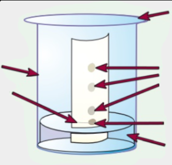 <p><strong>List the equipment needed for paper chromatography (6)</strong></p>