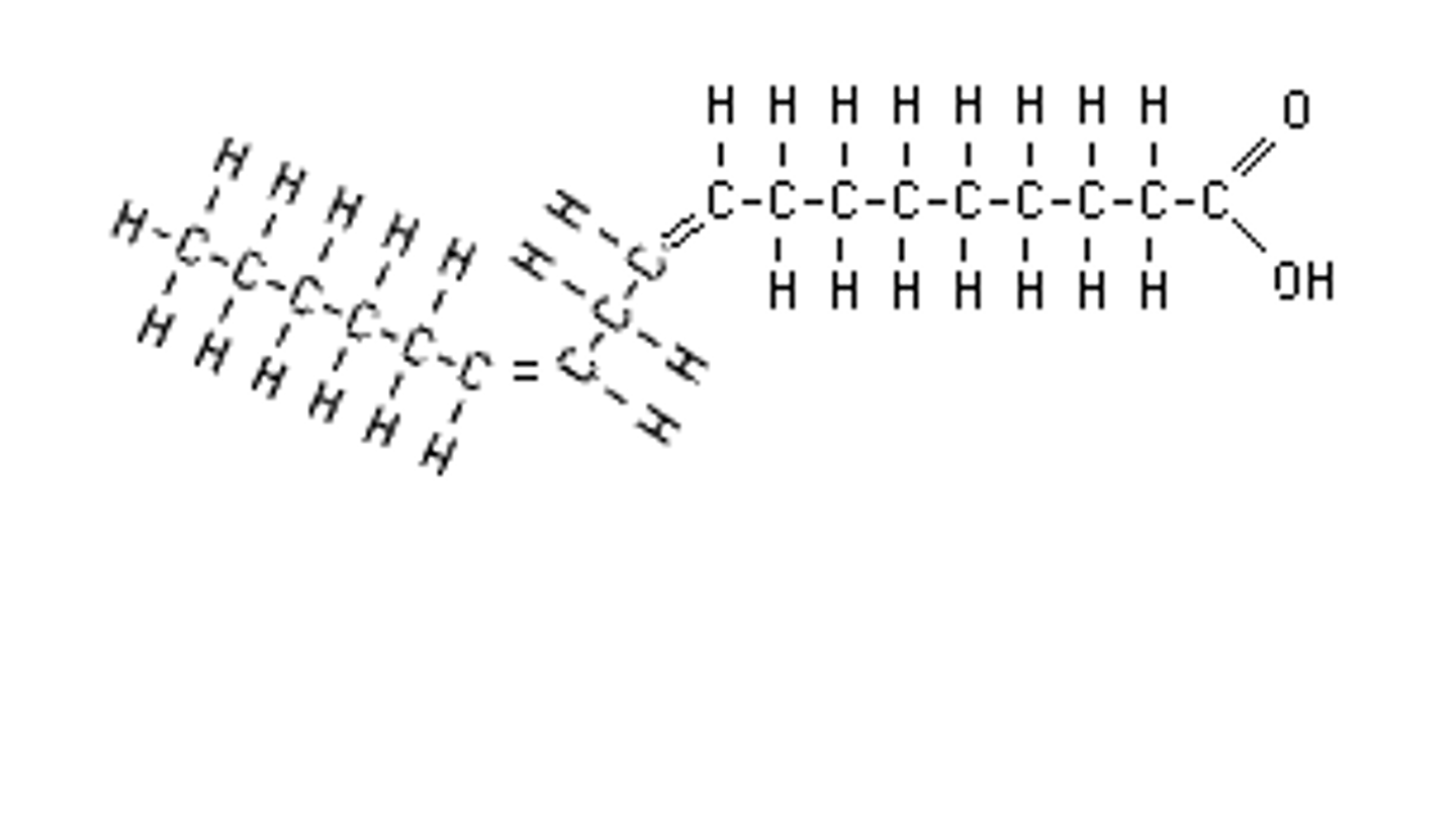 <p>Many double bonds in fatty acid chain, essential (body cannot produce)</p>