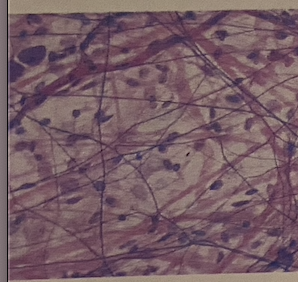 <p>identify tissue</p>