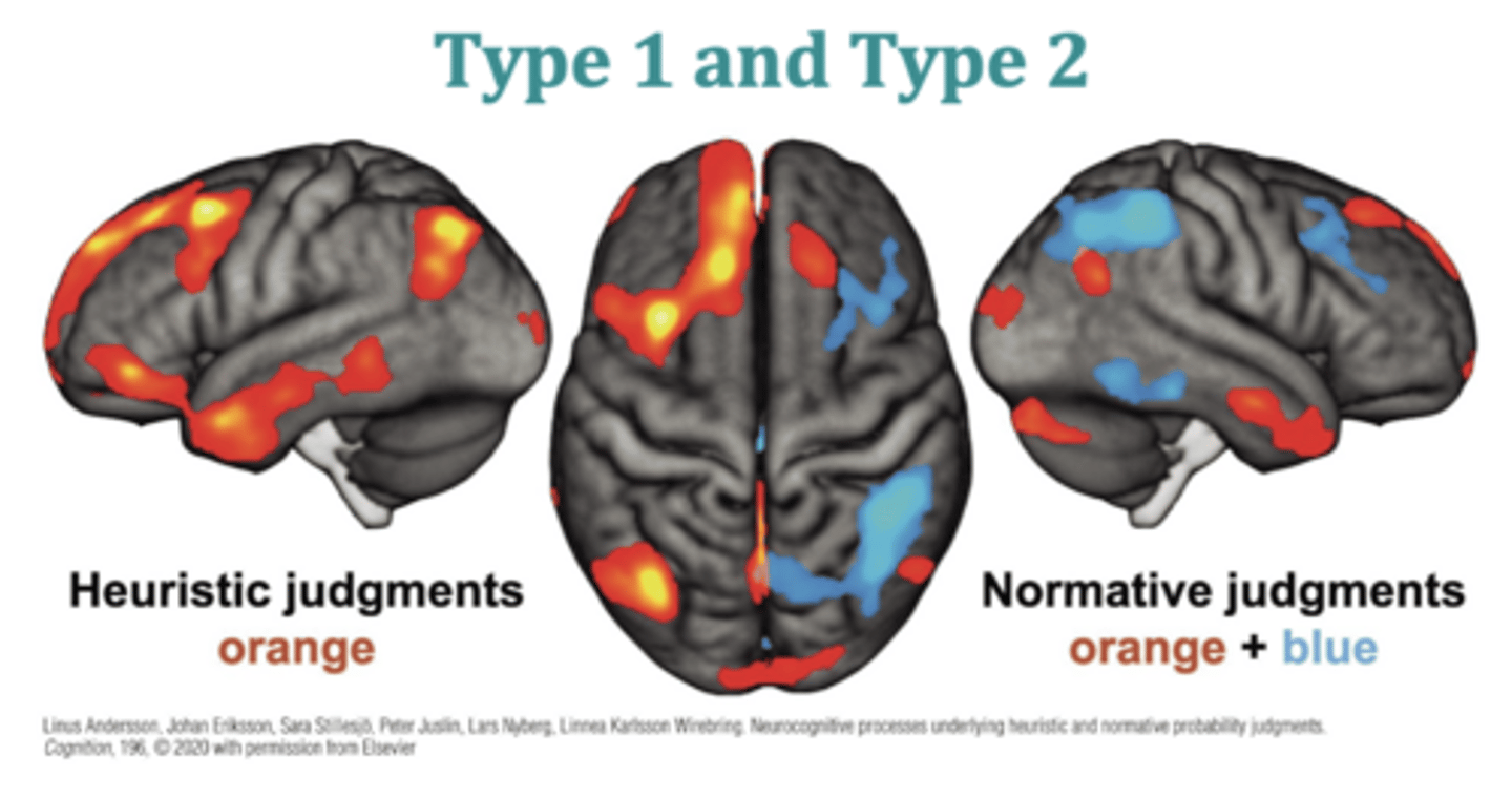 <p>Type 1: fast, automatic, reliance on heuristics</p><p>- more likely to be used when we're under time pressure</p><p>Type 2: slow, effortful, more likely to be correct</p><p>*different brain areas activate in each type</p>