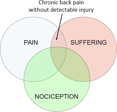 <p><span style="font-family: &quot;Arial MT&quot;">•</span><span>Nope! Not all pain has a physical cause.</span></p><p><span>–85% of people with chronic back pain have no identifiable physical cause of the pain</span></p><p><span>–95% of people with chronic headaches have no identifiable physical cause of the pain</span></p>