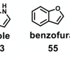 <p>which aromatic compound is least likely to undergo rapid metabolism?&nbsp;</p>