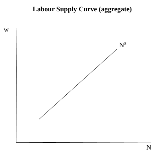 <p><span style="color: rgb(16, 2, 2)"><strong>Labour Supply Curve:</strong> the labour the worker is willing to supply at given wages<br><strong>Aggregate Labour Supply: </strong>sum of all individual labour supply<br><strong>Aggregate Labour Supply curve:</strong> sum of all labour that workers are willing to supply given at wages</span></p>