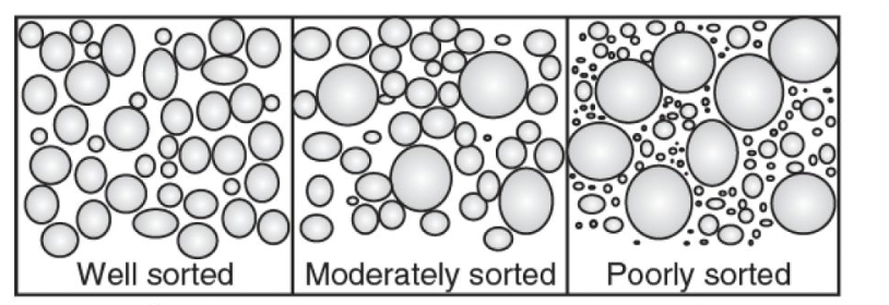 <p><span style="font-size: calc(var(--scale-factor)*24.00px);">distribution of particles in the bed</span><span><br></span><span style="font-size: calc(var(--scale-factor)*24.00px);">• Well-sorted = discrete patches of the same size</span><span><br></span><span style="font-size: calc(var(--scale-factor)*24.00px);">• Poorly sorted = mixed particle sizes</span></p>