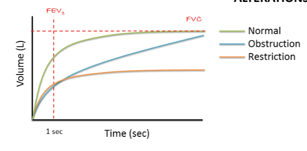 <p>Obstructed - reduced airflow due to airway resistance </p><p>Restricted - reduced lung volume due to stiffness of deformation</p>