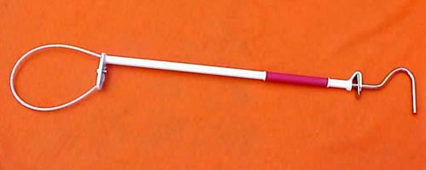 <p>restraint method in which the pig's snout is secured by a loop tie that is attached to a long handle</p>