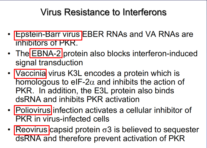 \*anti-IFN strategies include:

\-inhibiting IFN induction

\-blocking key mediators of the interferon response