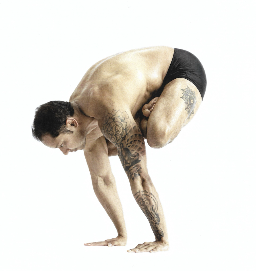<p>Rooster Pose</p>
