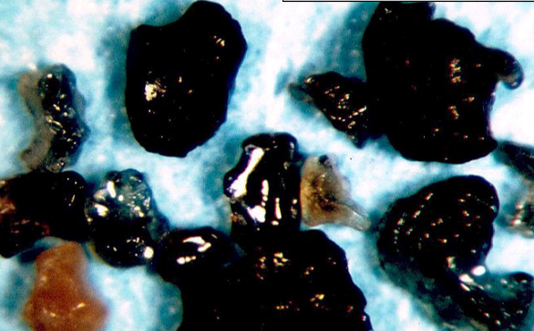 <p>Rapid quenching of molten droplets</p><p>Found at the base of the K-T boundary sequence in the Gulf of Mexico region</p>