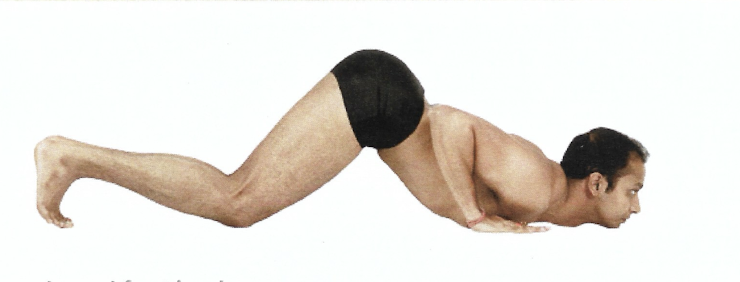 <p>Ashtanga Namaskara</p>