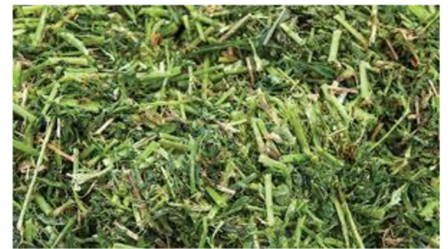 <p>why does fiber matter</p>