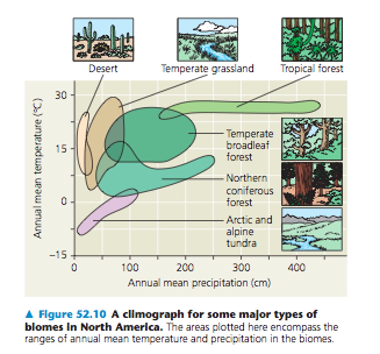 <p>relationship of climate (temperature and precipitation) to biomes</p>