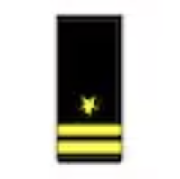 <p>Two gold 1/2-inch stripes below a gold five pointed star (O3)</p>