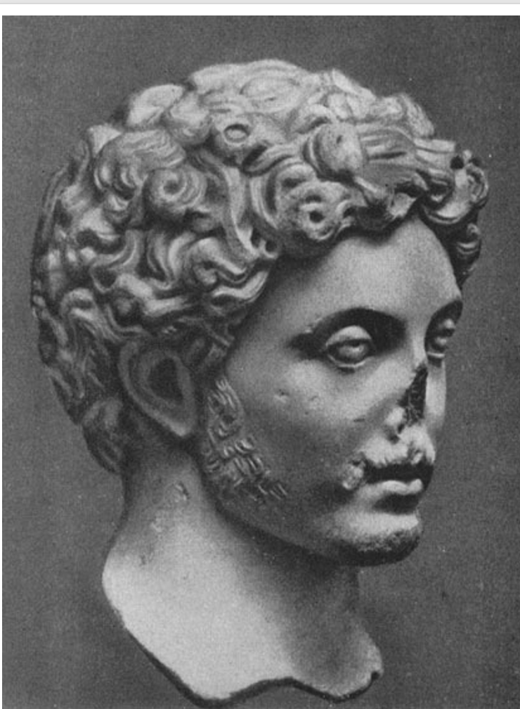 <p>Head of Young Marcus </p>