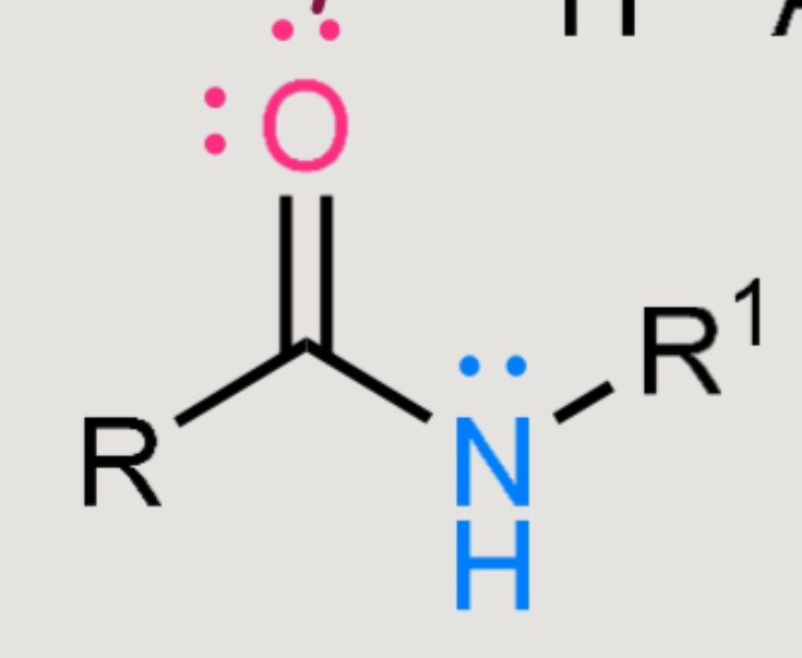 <p>What does this form when reacted in a basic environment?</p>