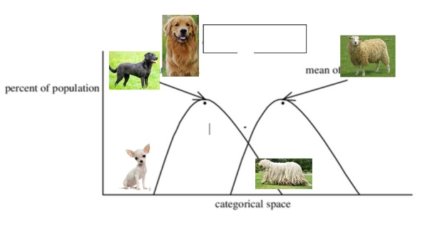 <p><span>ex: different dogs that constitute the dog category (e.g. golden retrievers)</span></p><p><span>(a)</span><span style="font-family: Times New Roman">&nbsp;&nbsp; </span><span>in the chart (from slides), the peaks represent the prototypes</span></p><p><span>(b)</span><span style="font-family: Times New Roman">&nbsp; </span><span>but the categories include the less prototypical objects (dogs) as well</span></p><p><span>(c)</span><span style="font-family: Times New Roman">&nbsp;&nbsp; </span><span>objects from different categories overlap</span></p><p><span>(i)</span><span style="font-family: Times New Roman">&nbsp;&nbsp;&nbsp; </span><span>ex: the Komondor dog can overlap between the dog category as well as the sheep category</span></p>