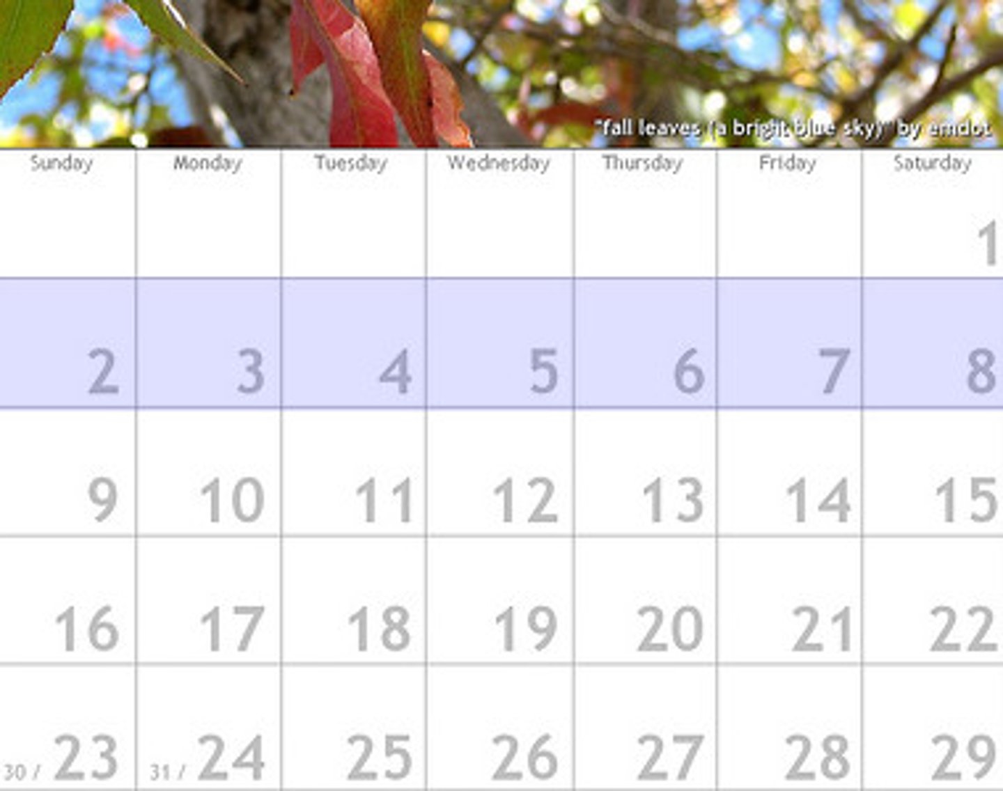 <p>weekly</p>
