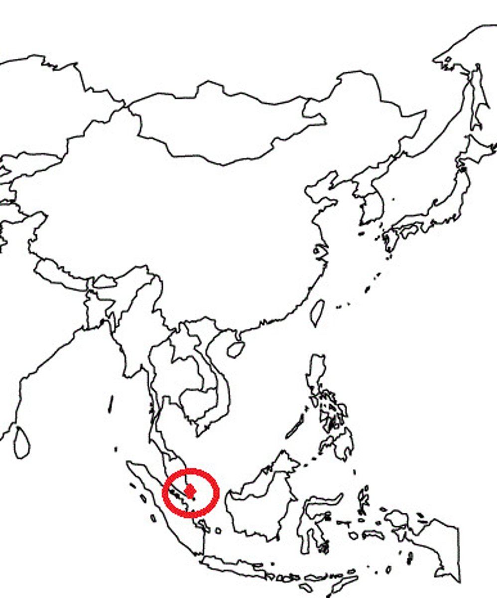 <p>xīn jīa pō</p><p>Singapore</p>
