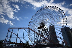 <p>amusement park</p>