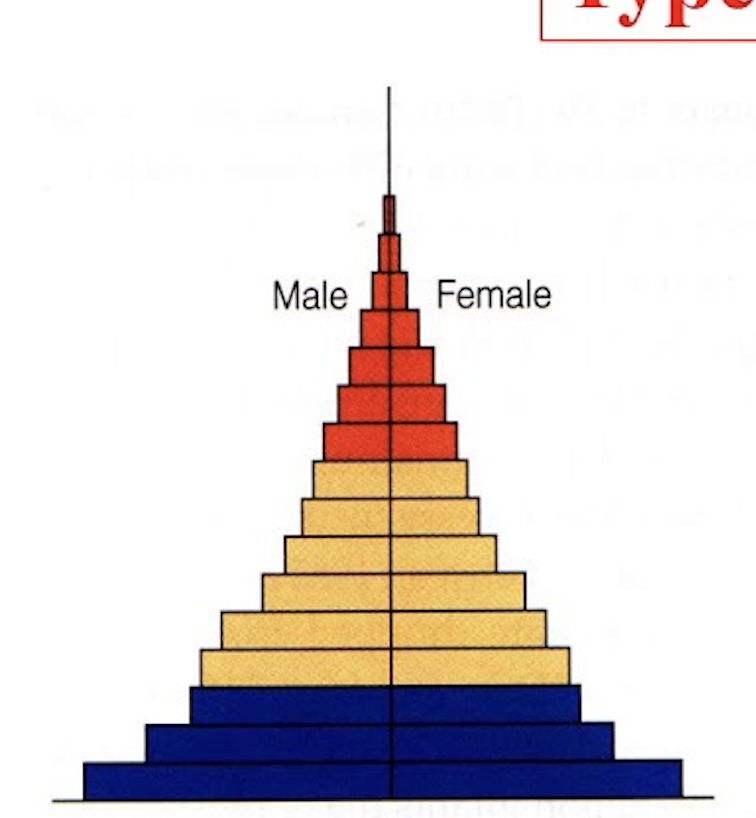 <p>identify this age structure</p>