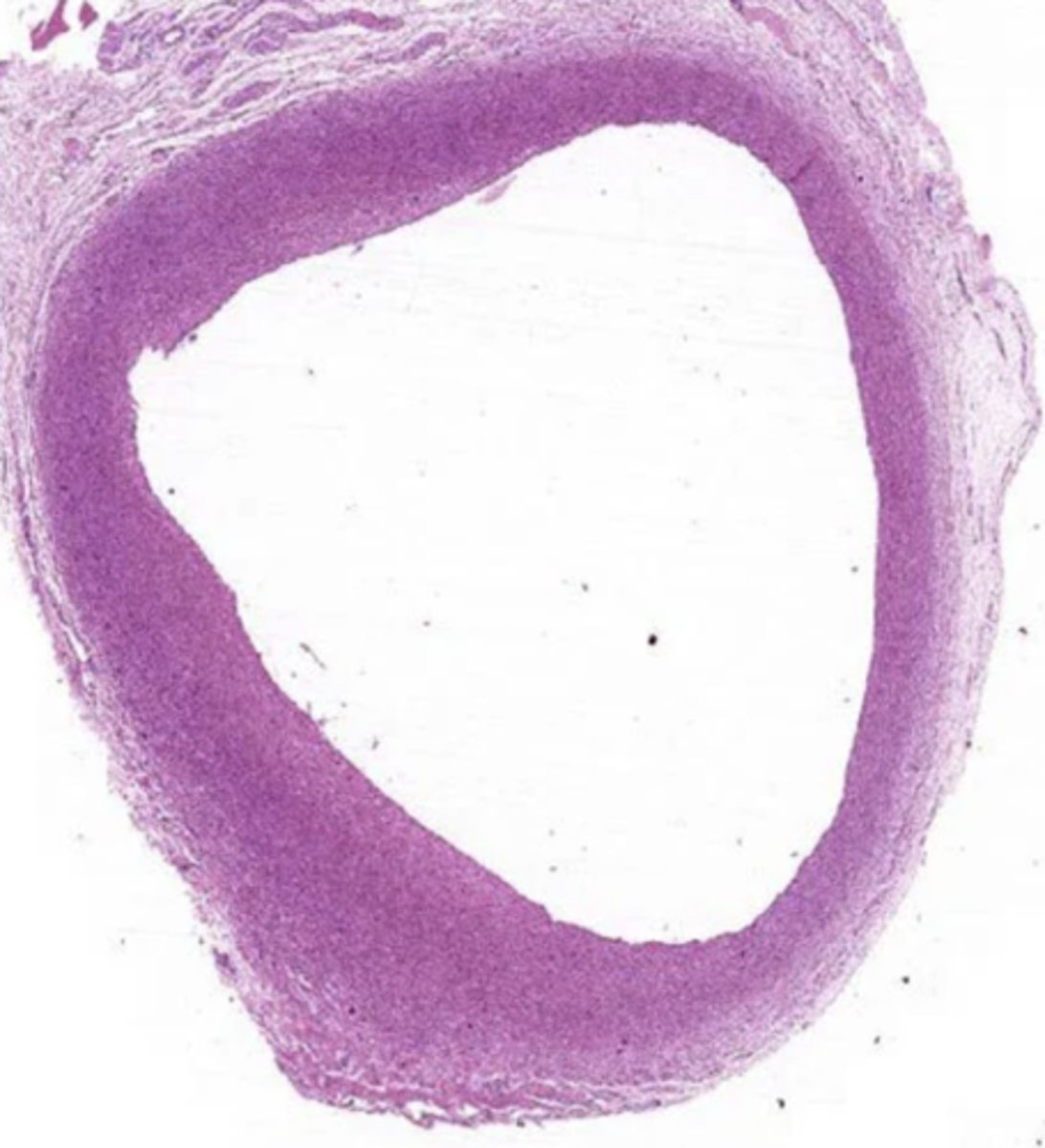 <p>what is this?</p>