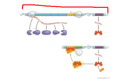 <p>What system + what structure</p>