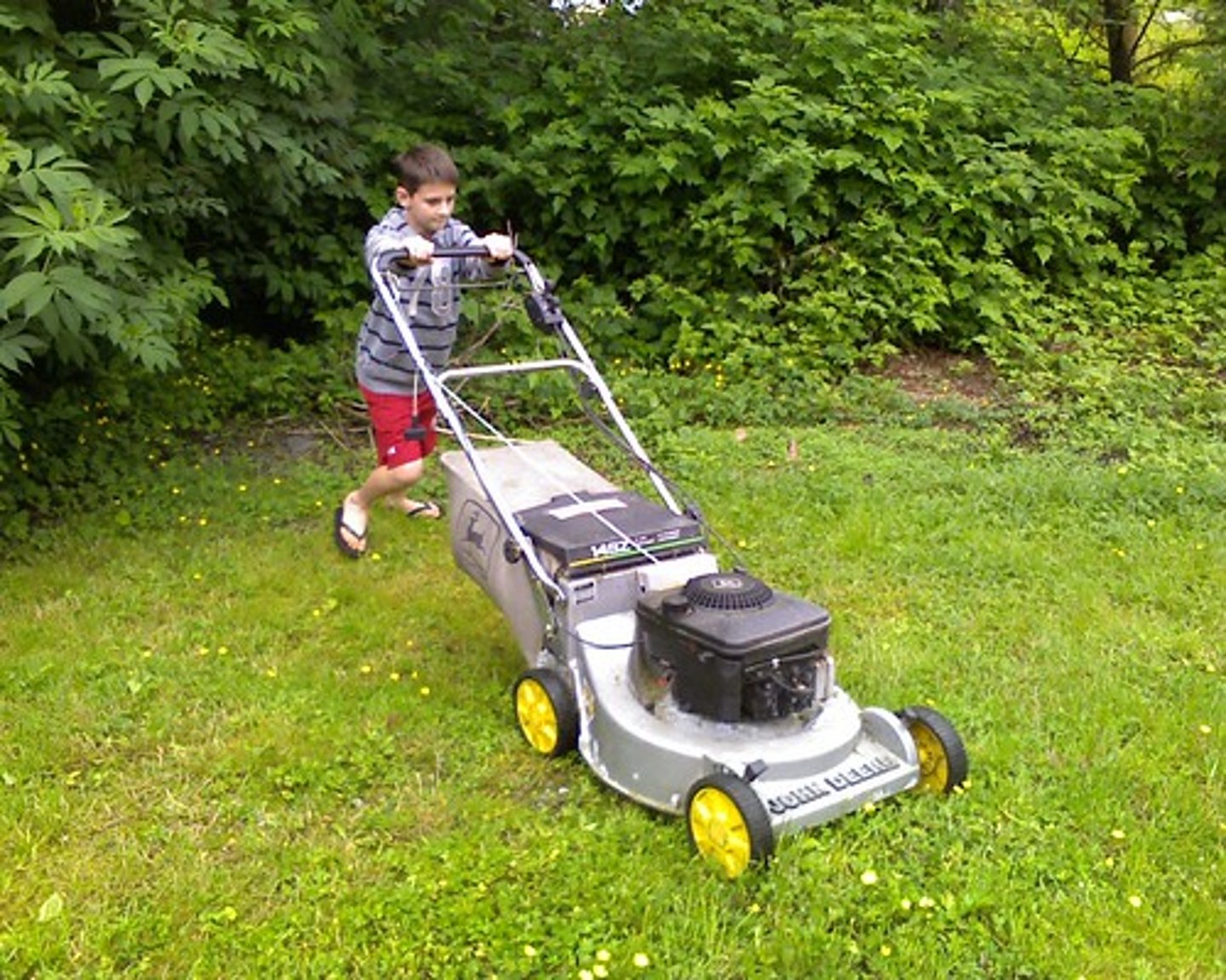 <p>to mow the lawn</p>