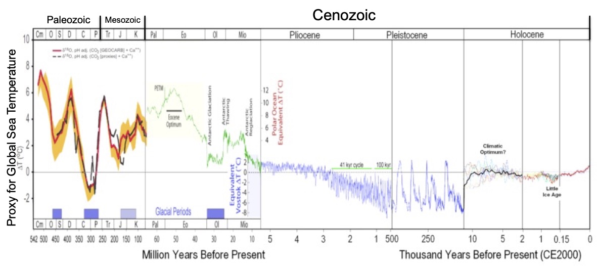 <p><span>True or False. During the early Cenozoic, the Earth experienced a change from a Green House, with some of the warmest temperatures ever to an Ice House with a period of glaciations?</span></p>