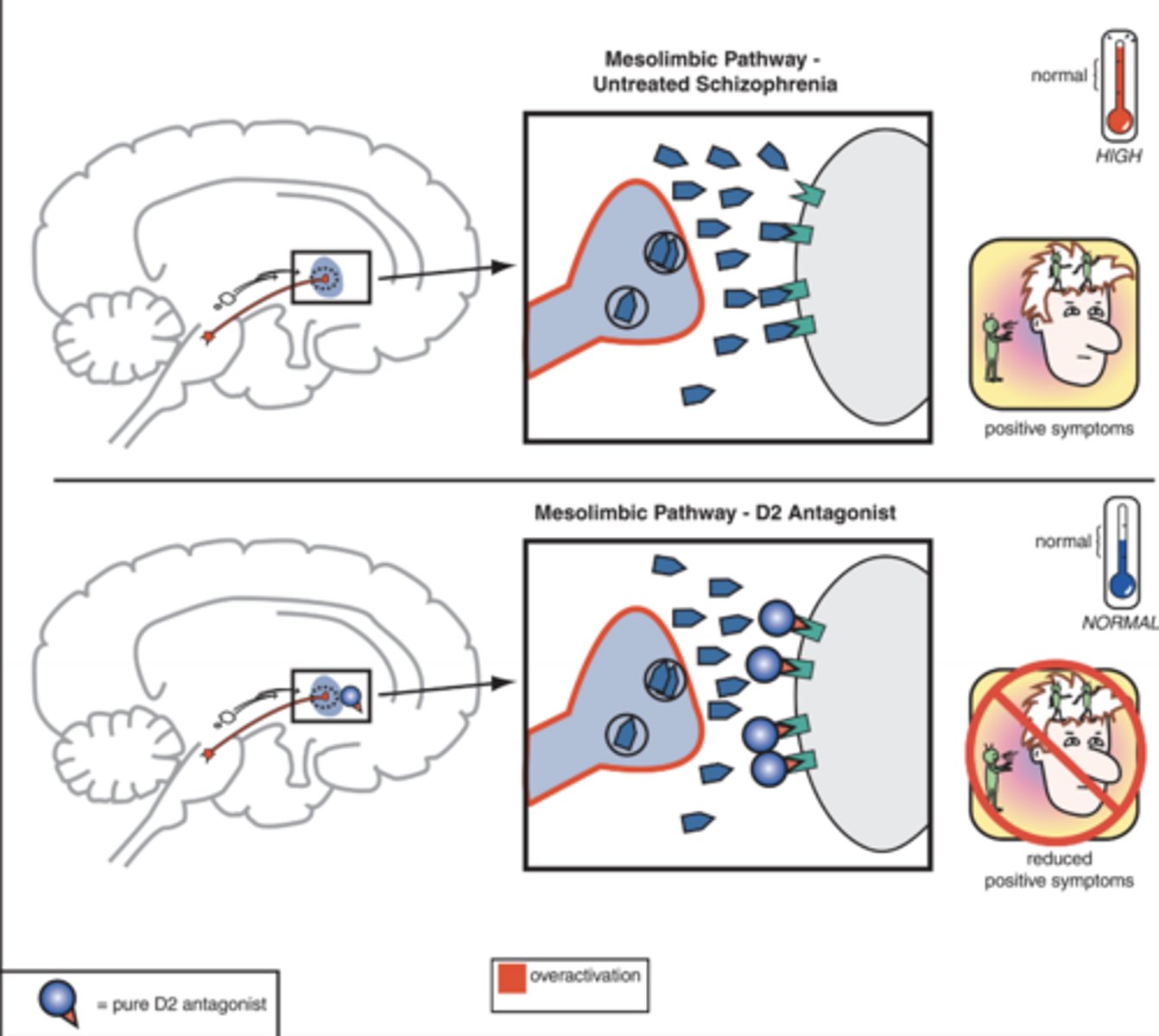 <p>-Untreated symptoms on the top</p><p>-Treated symptoms on the bottom</p><p>-Decreases positive symptoms (good)</p>